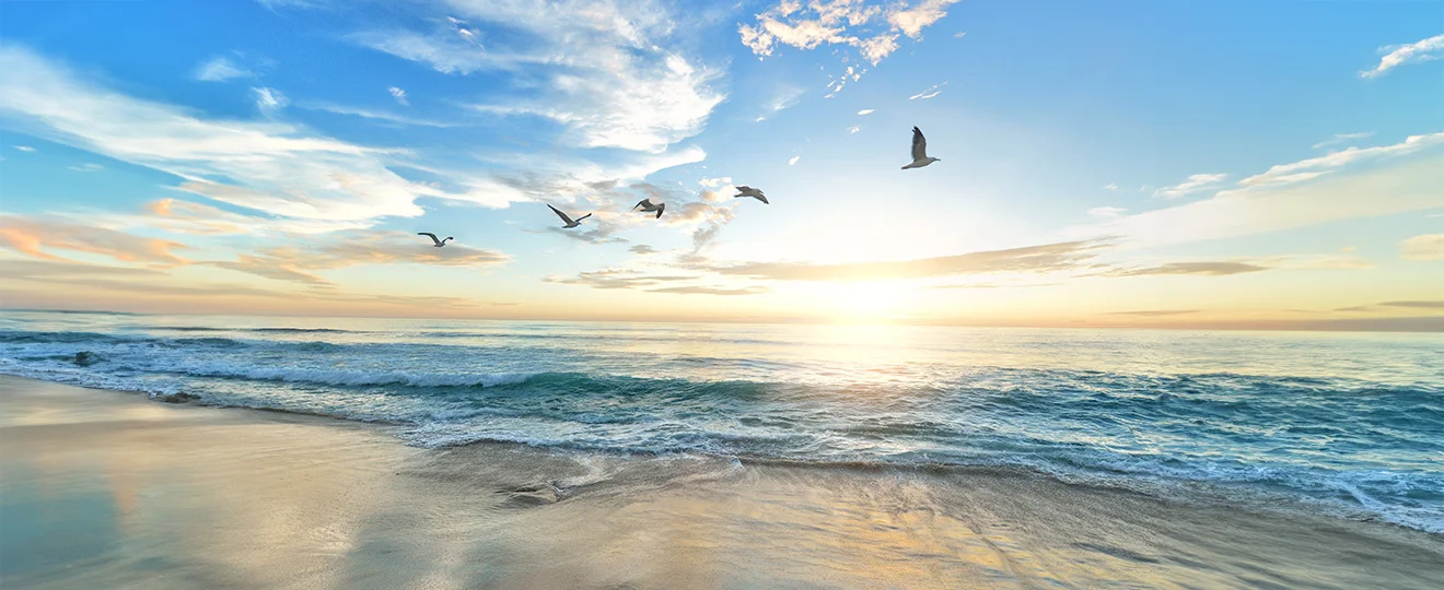 Begleitende Kinesiologie-Bild 1