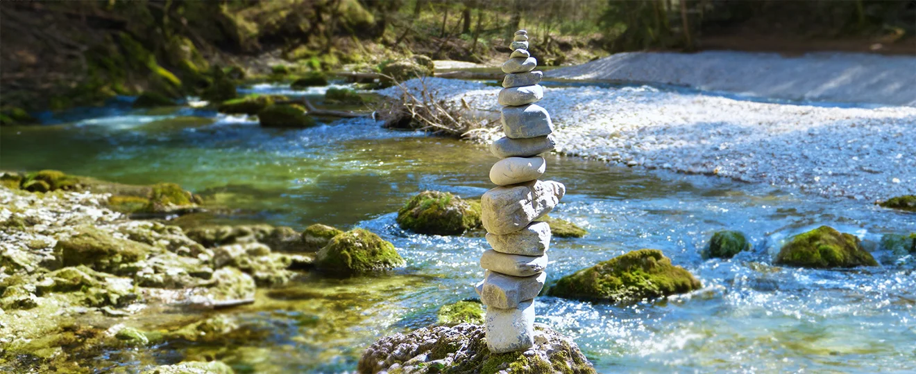 Begleitende Kinesiologie-Bild 3