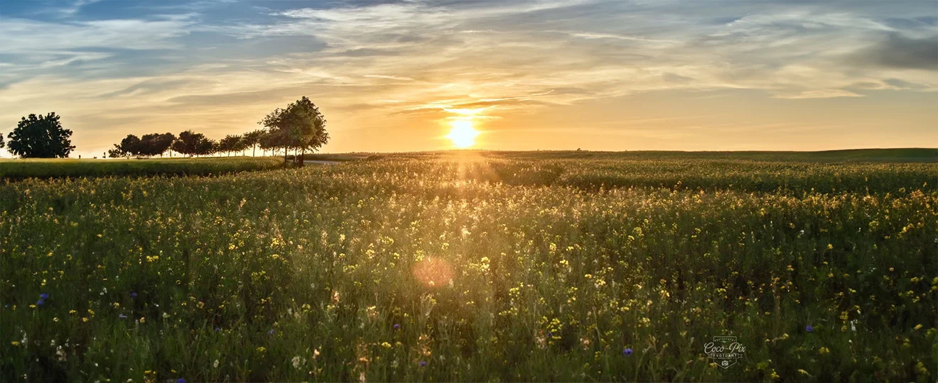 Heilmagnetismus-Bild 4