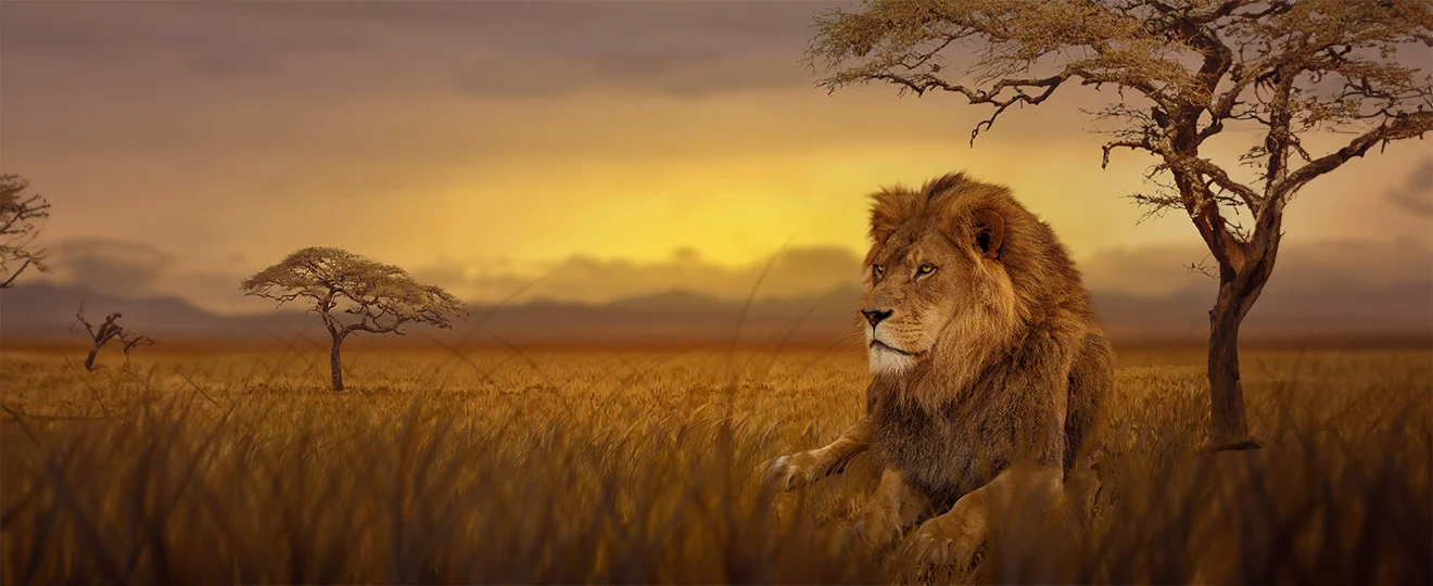 Afrikanische-Baobab-Massage-Bild 3