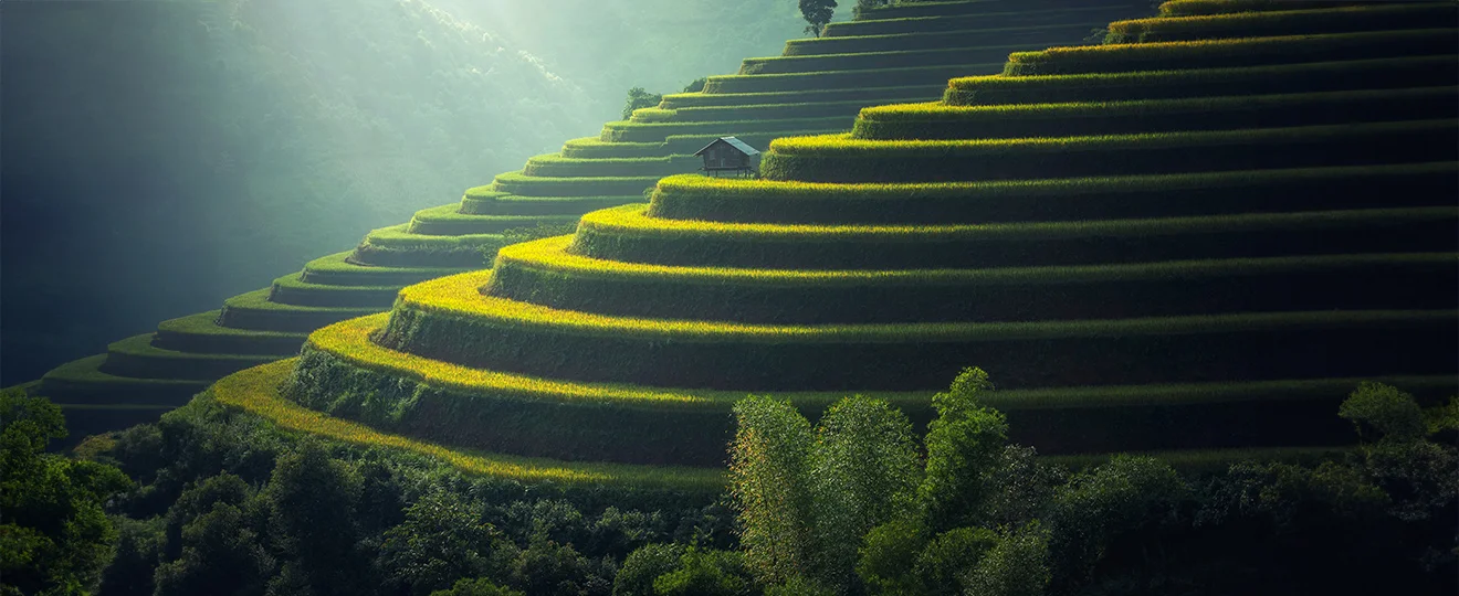 Sabaaydi® Massagen-Bild 2