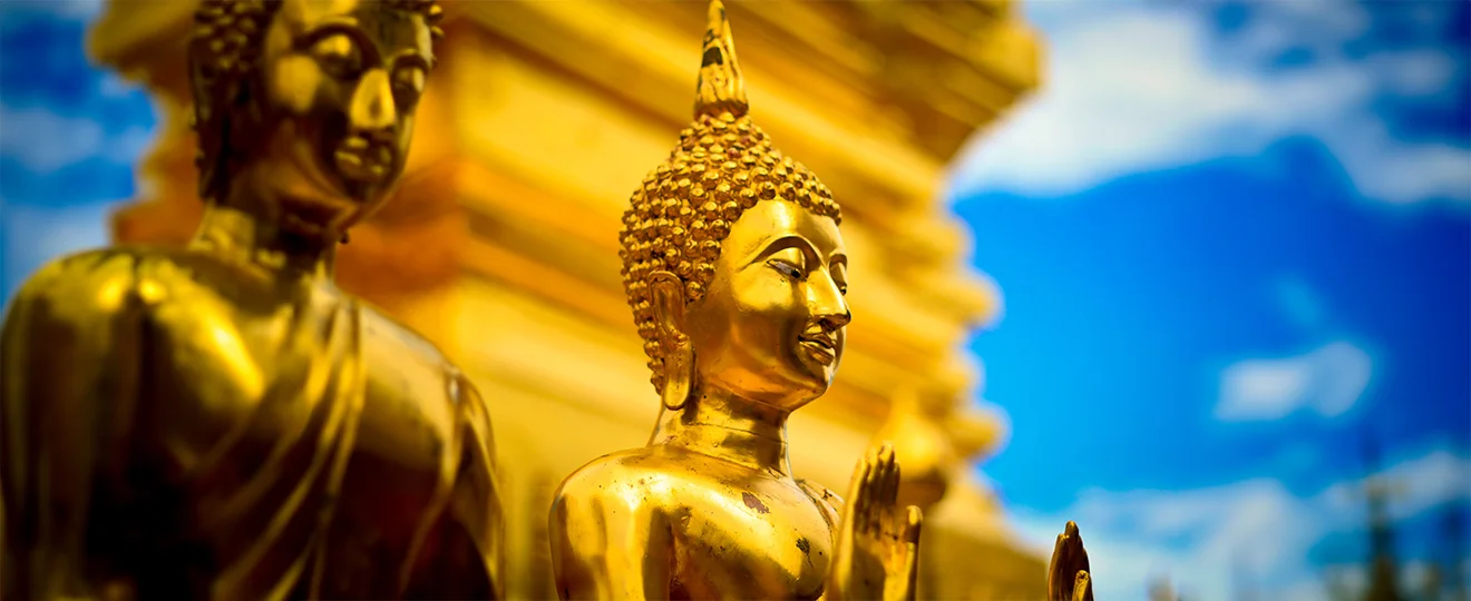 Sabaaydi® Massagen-Bild 4