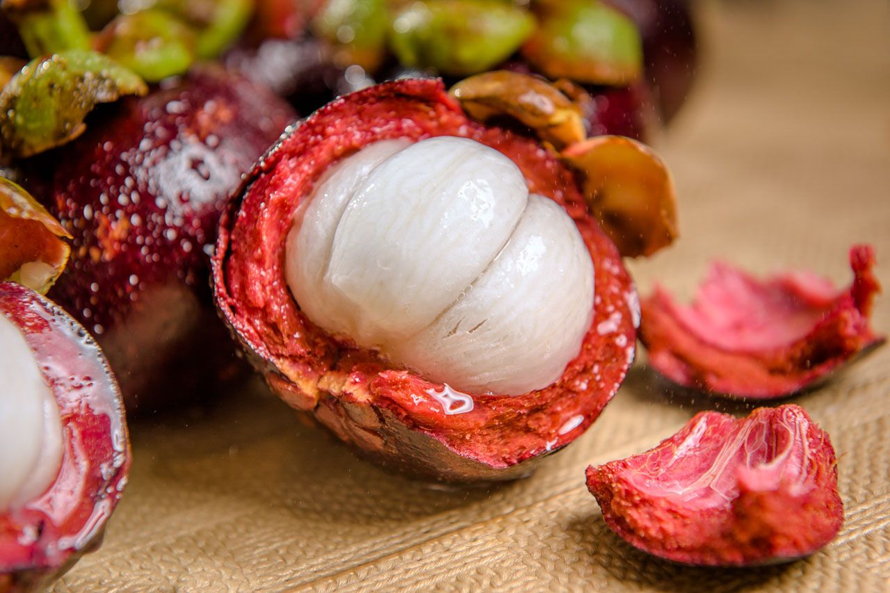 03 mangosteen